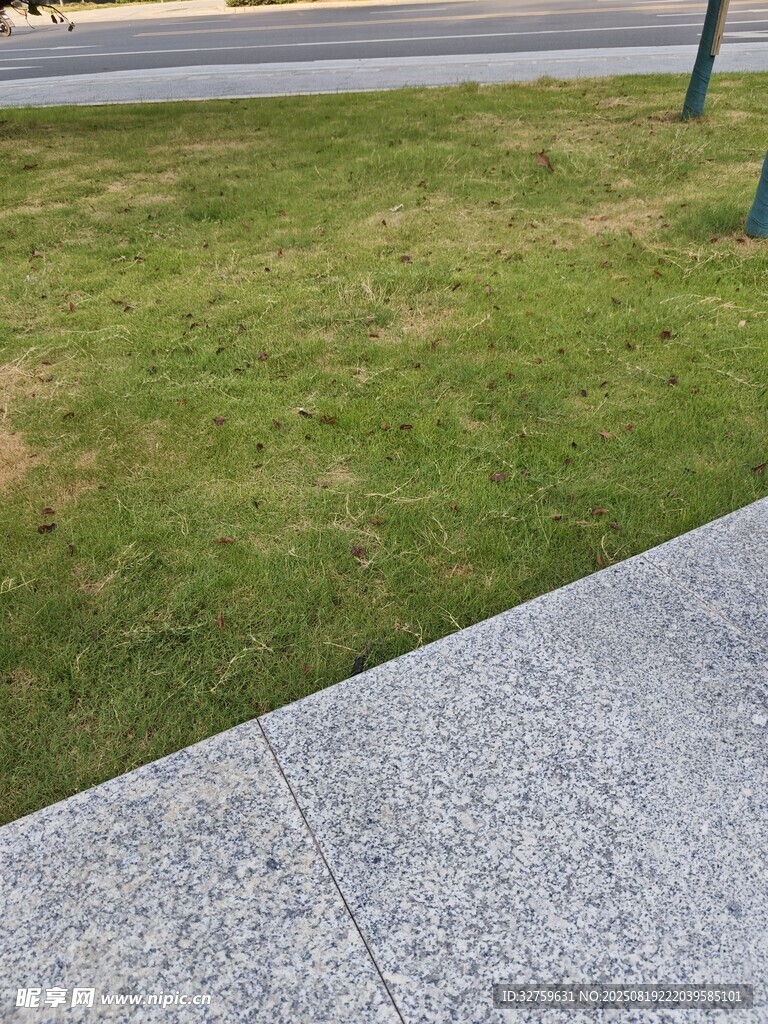 路边草地与灰色步道