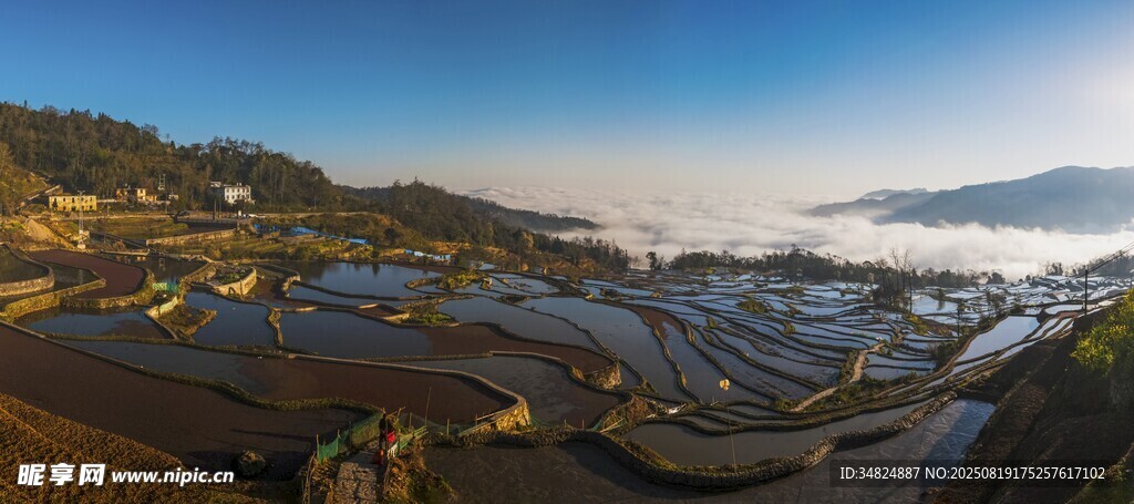 壮观梯田美景