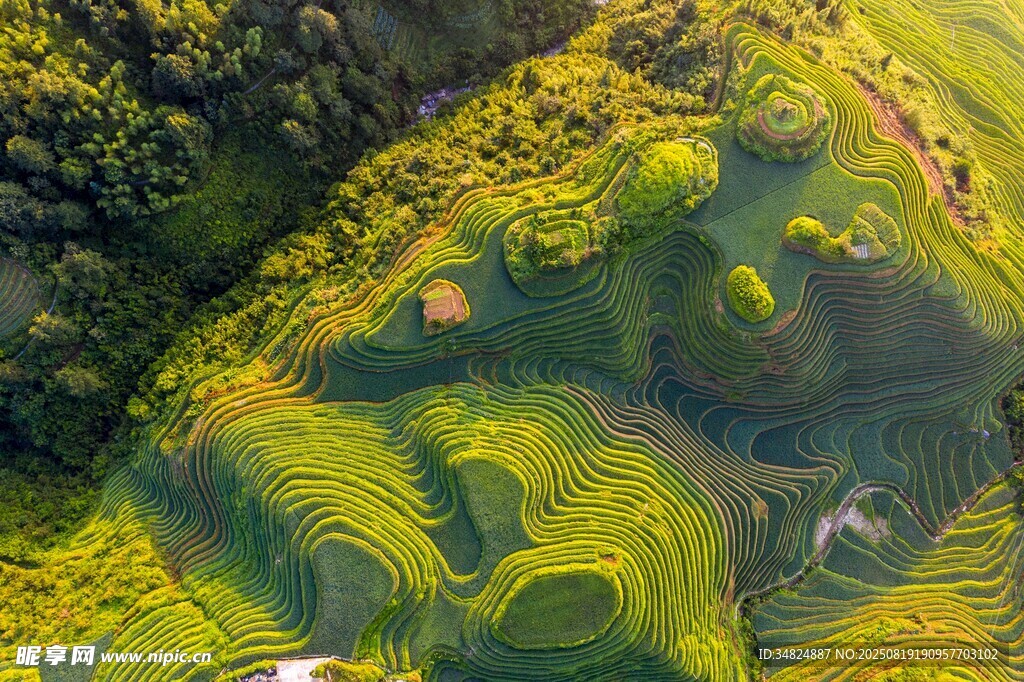 航拍美丽梯田景观