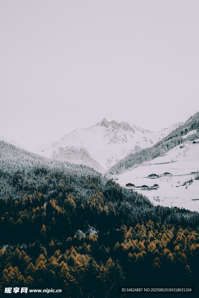 雪山下的多彩山林景观