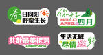 粉绿春日手举牌