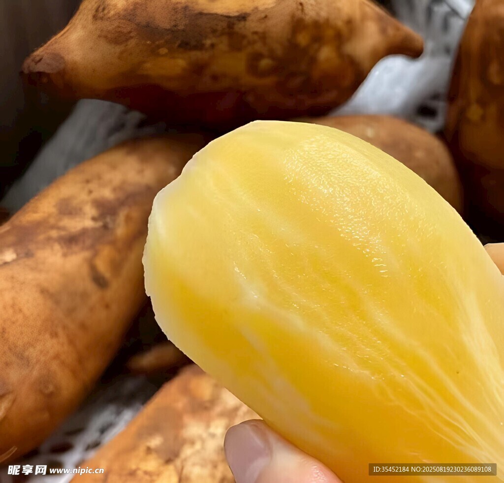 雪莲果