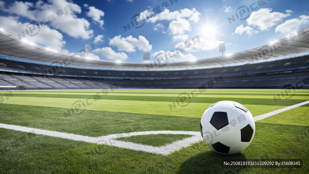 专业足球场 天气晴朗
