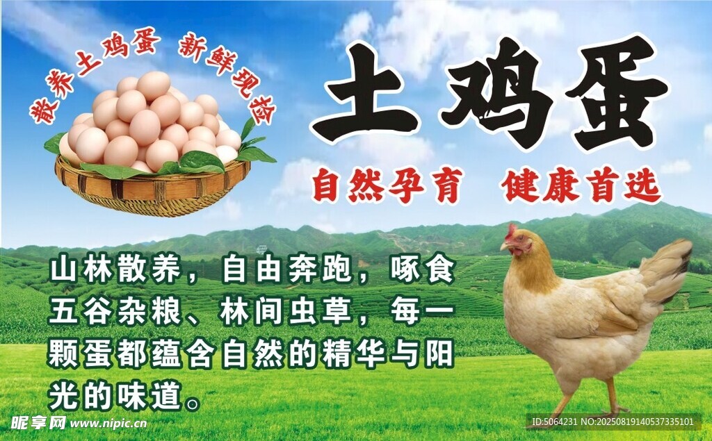 土鸡蛋