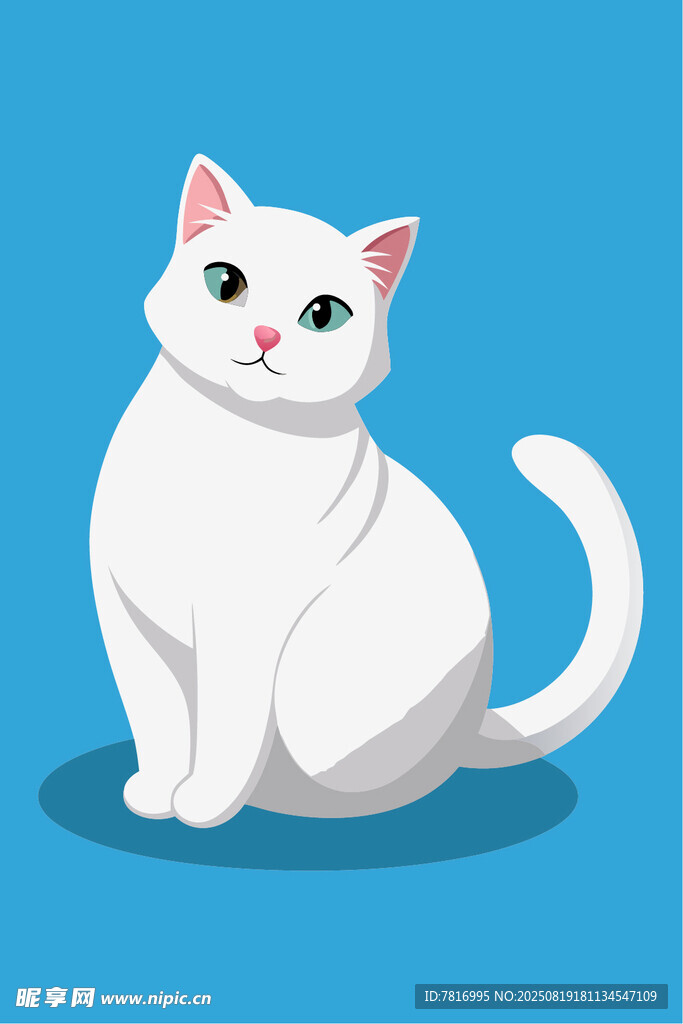 可爱的白色猫咪