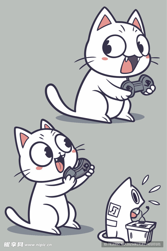 可爱猫咪玩相机趣味瞬间
