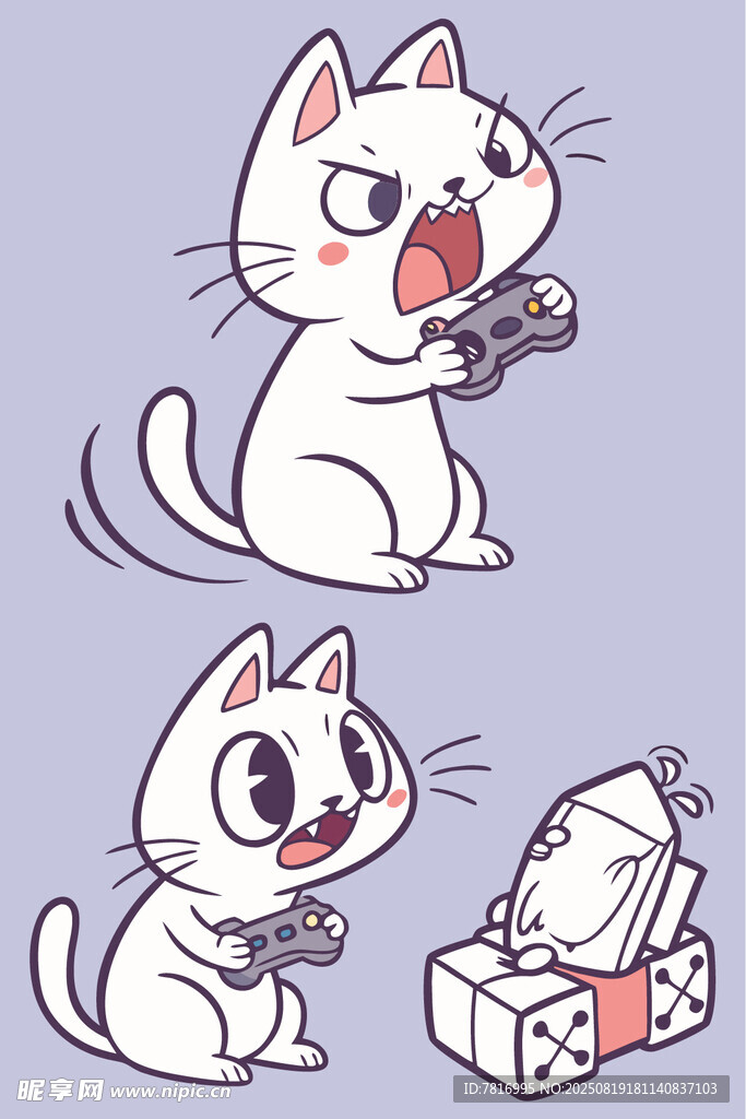 猫咪开箱趣事