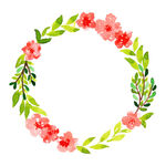 手绘粉色花朵绿叶花环