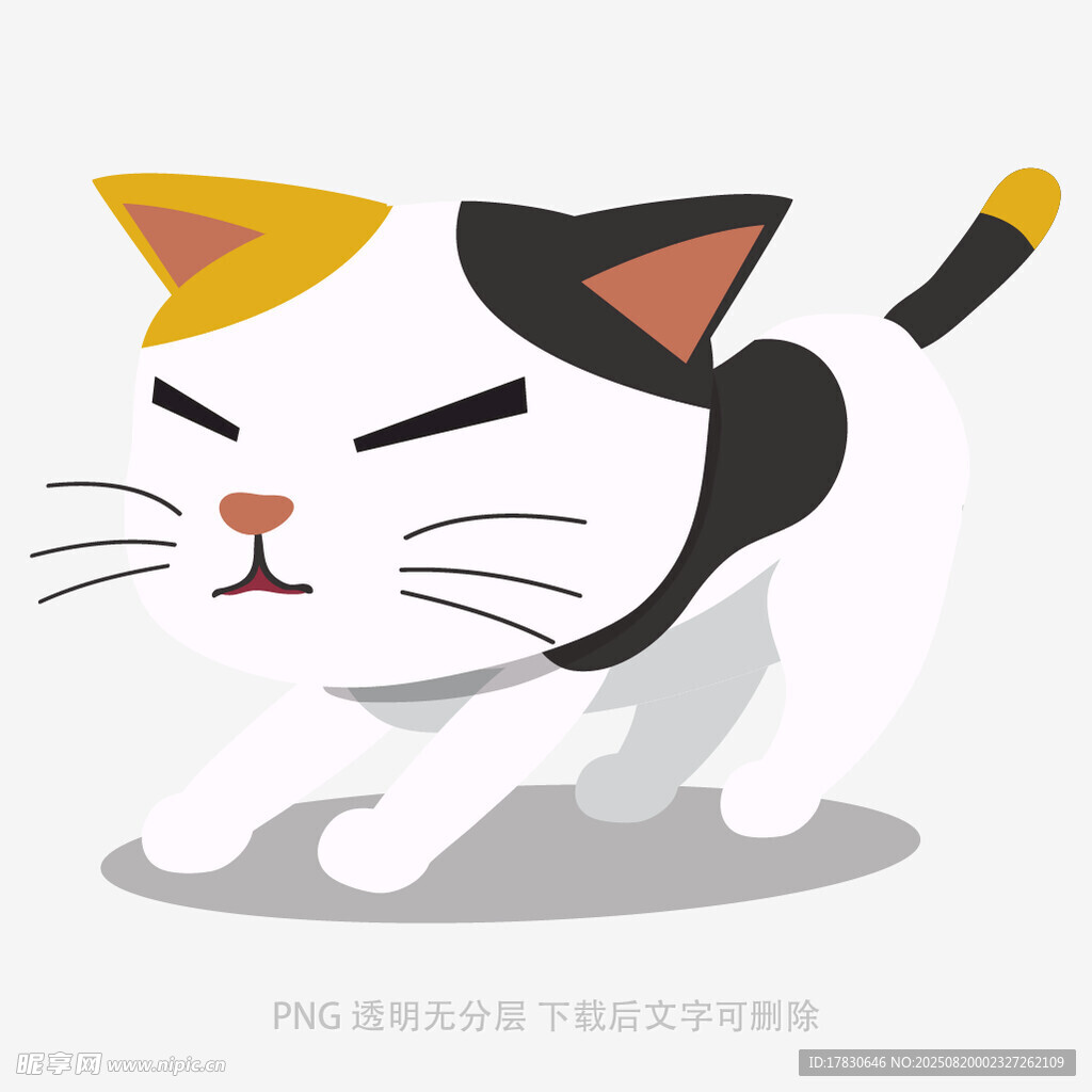 俏皮猫咪的可爱姿态