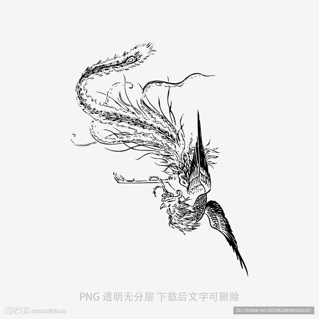 凤凰