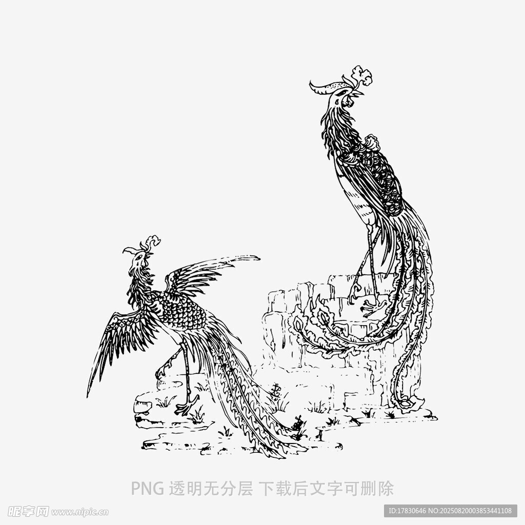 凤凰