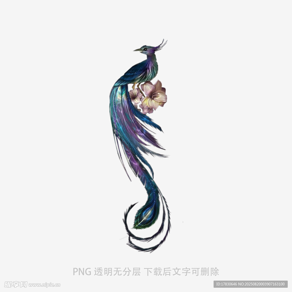凤凰