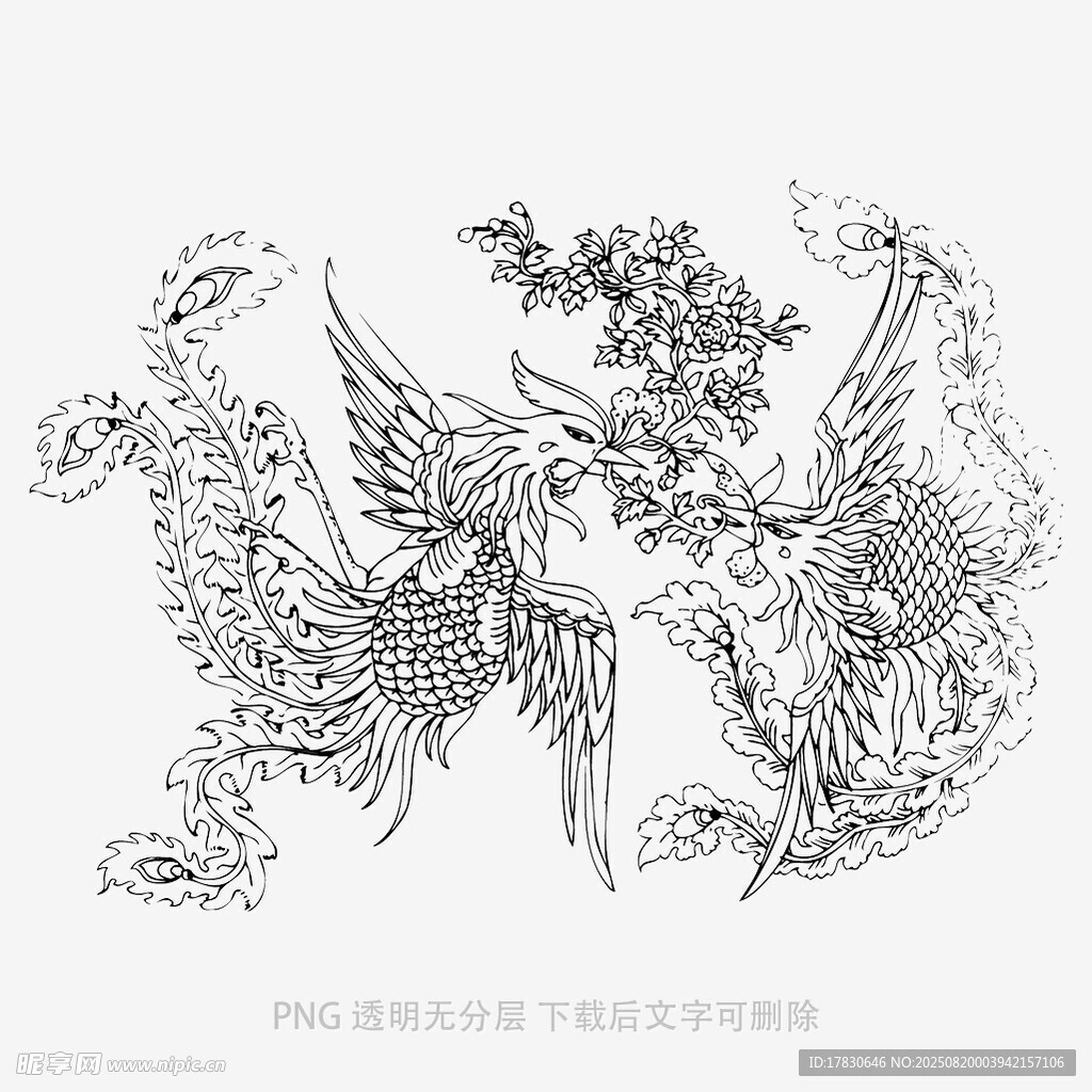 凤凰