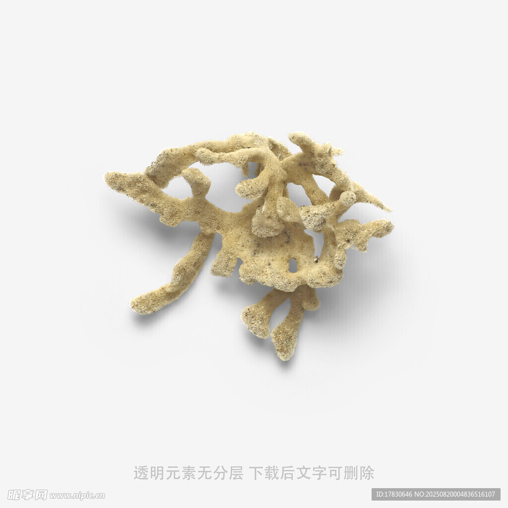 造型独特的金色珊瑚摆件