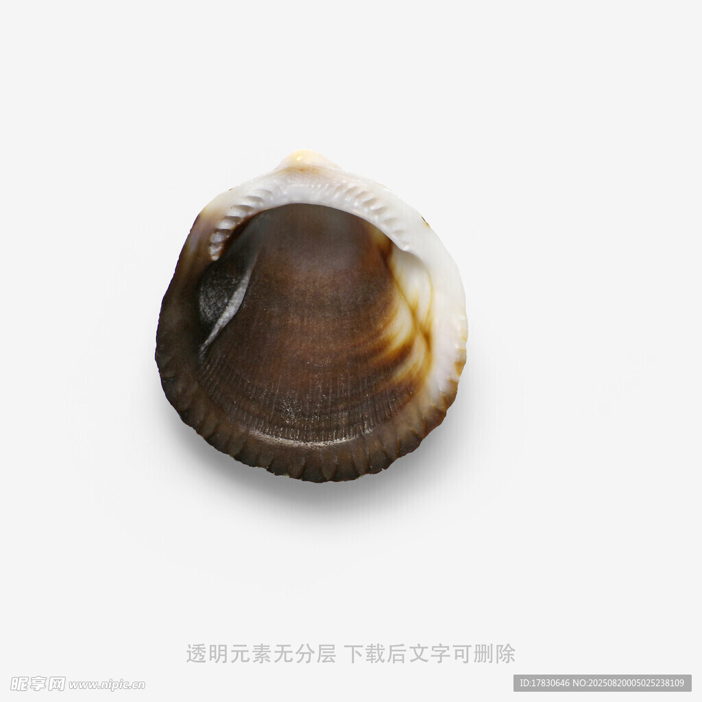 圆形玛瑙饰品特写