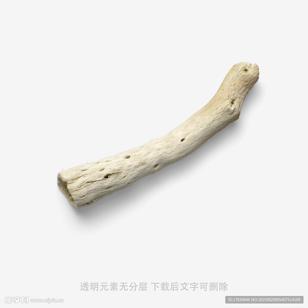 天然弯曲枯木