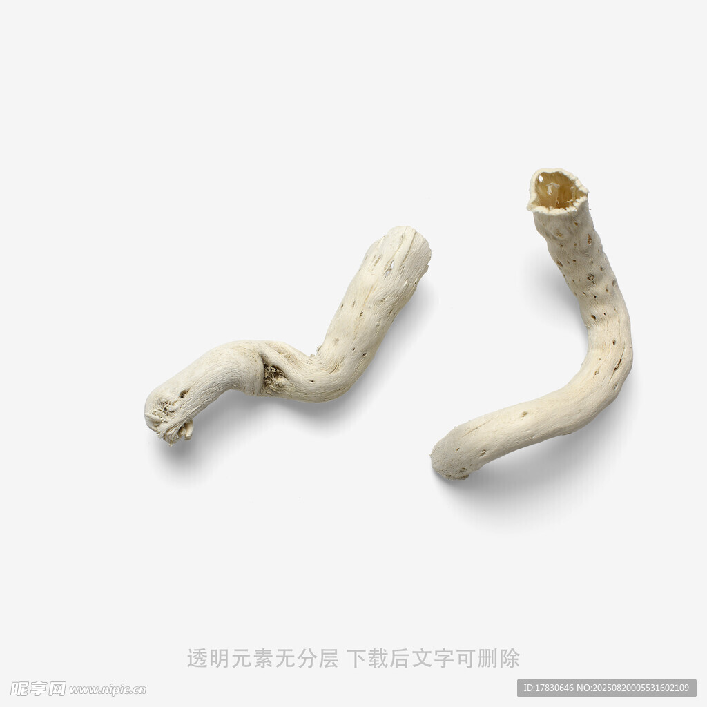 天然造型奇特的白色物件
