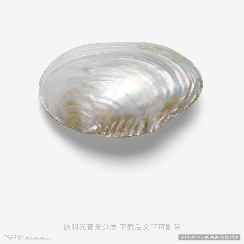光泽迷人的精美珍珠