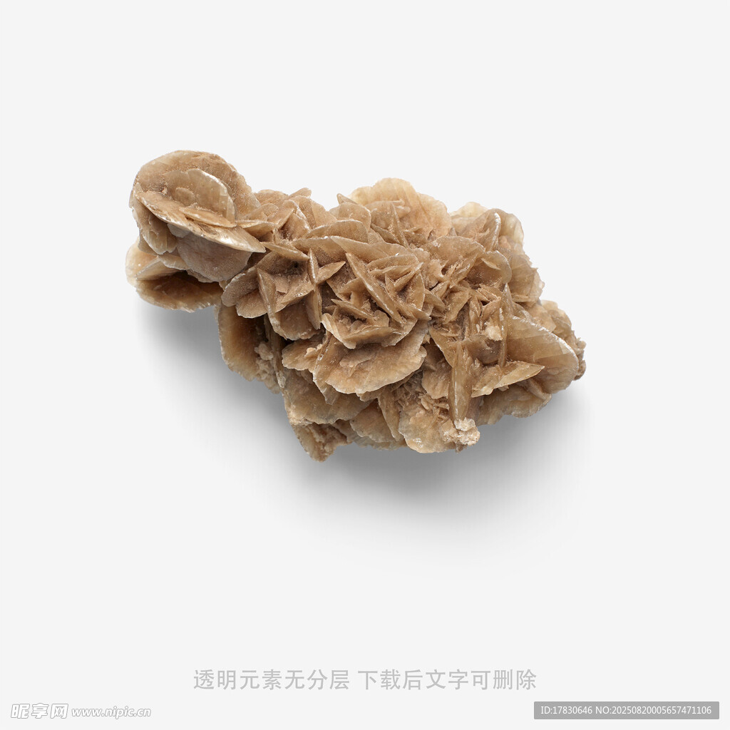 棕色花朵造型发夹