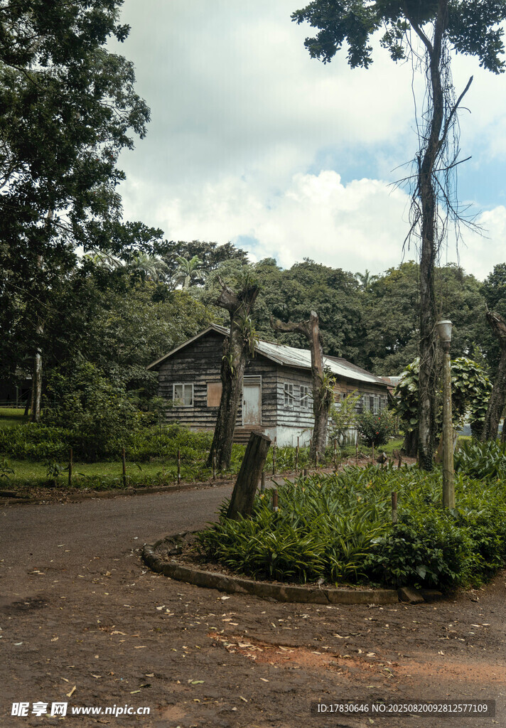 非洲风光