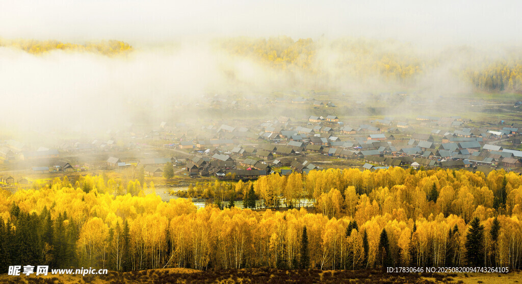 秋日山林晨雾美景
