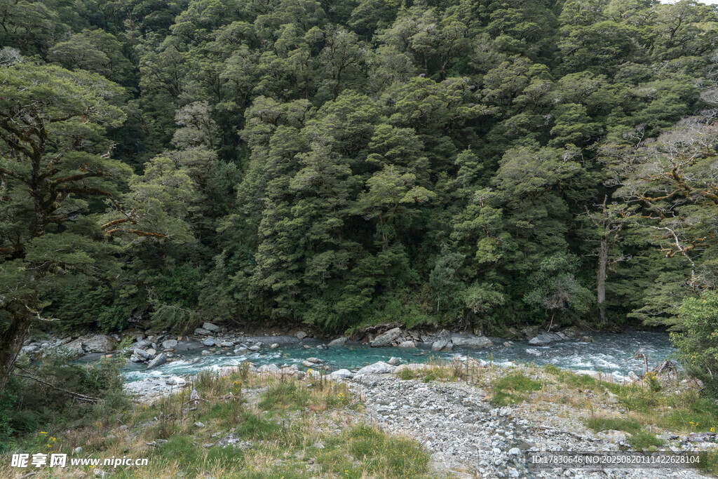 山林间的清澈溪流