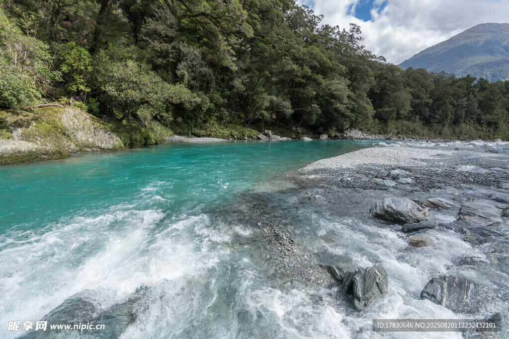湍急蓝河与葱郁山林景观