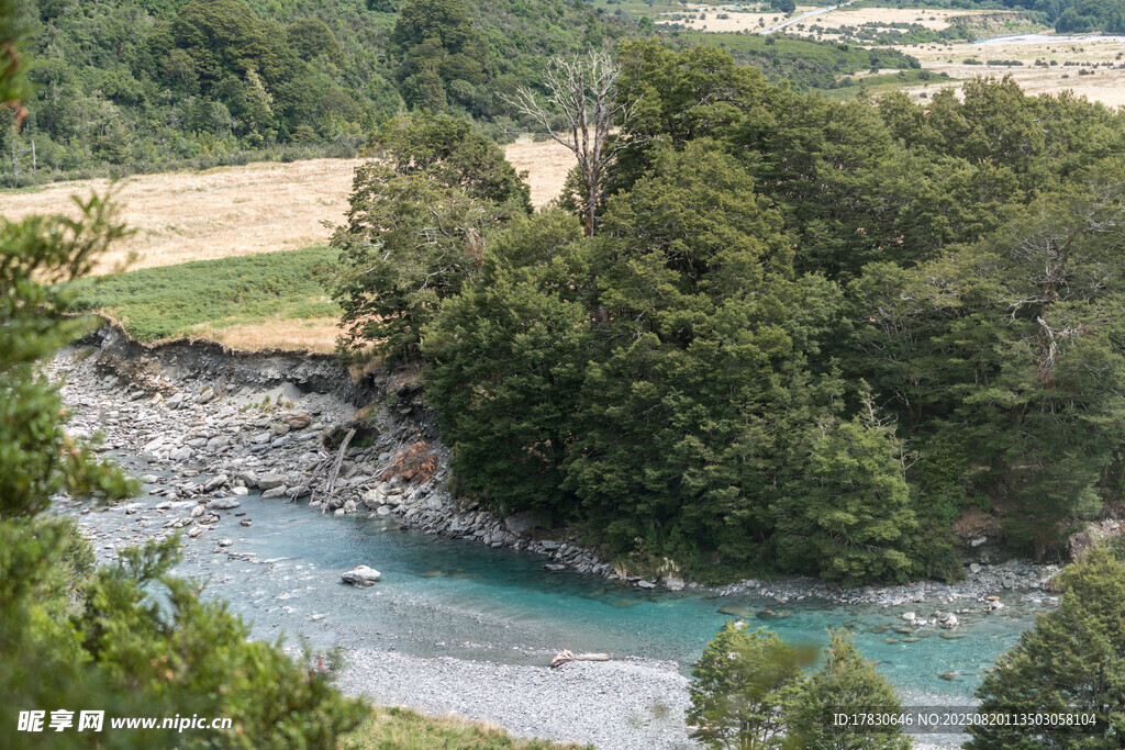 山间碧河绕绿树美景