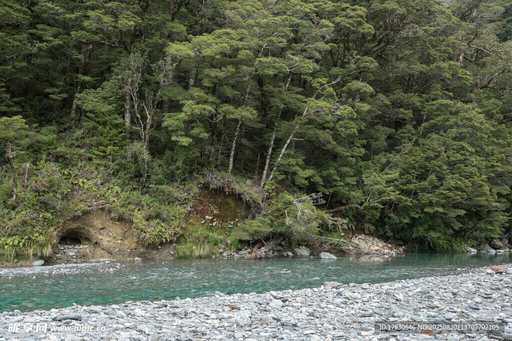 山林间的清澈溪流