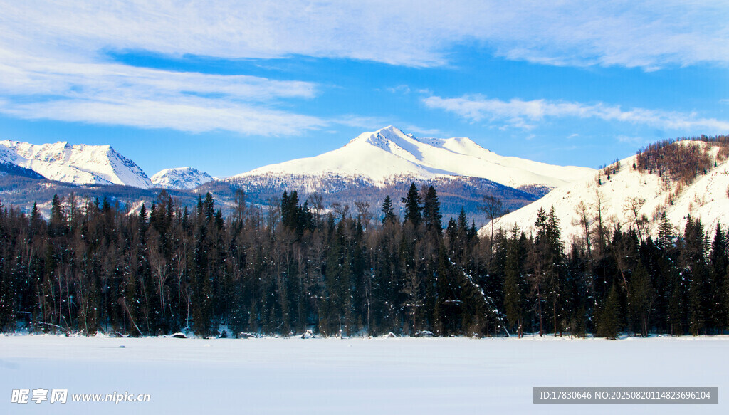 雪山下的森林冬日美景