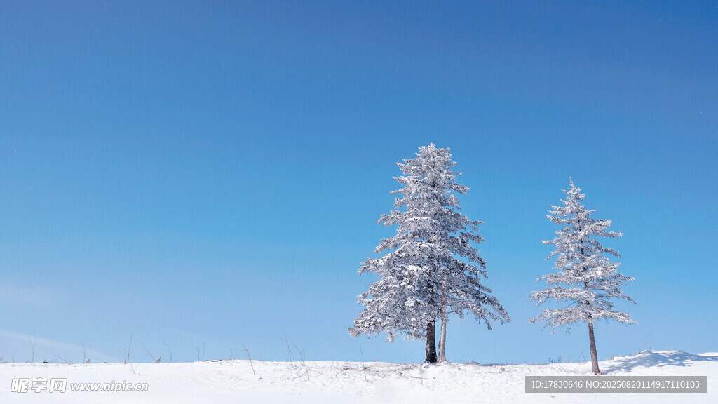 冬日雪景