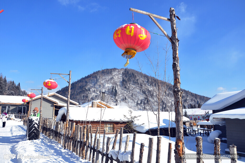 冬日雪景