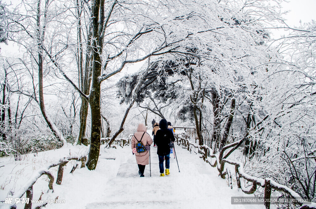 雪中小径上的温馨家庭行