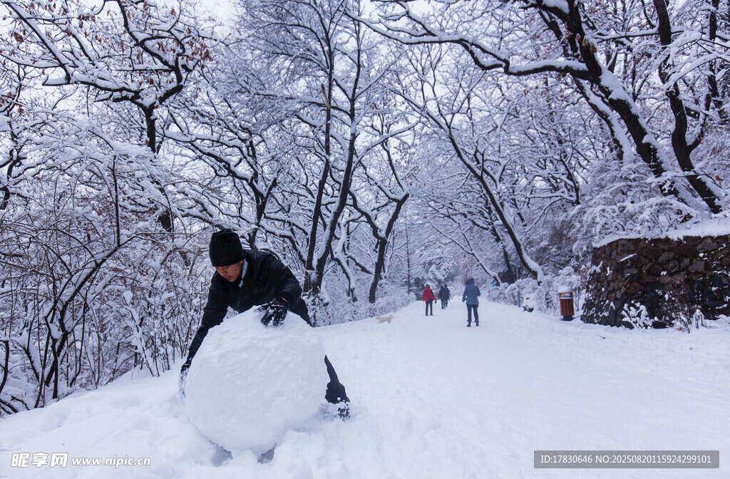 雪地中一人与巨大雪球