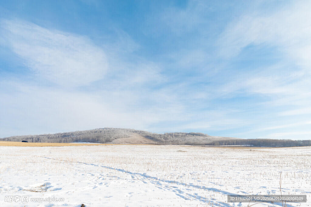 冬日旷野雪景