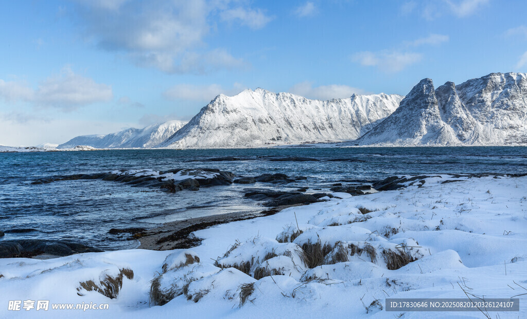 冬日海岸雪景风光