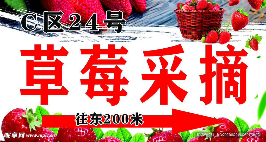 草莓采摘