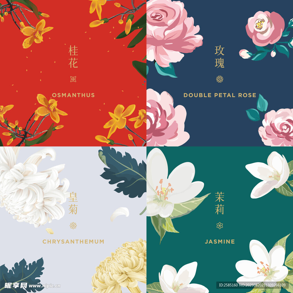 茉莉玫瑰皇菊桂花矢量手绘花卉图