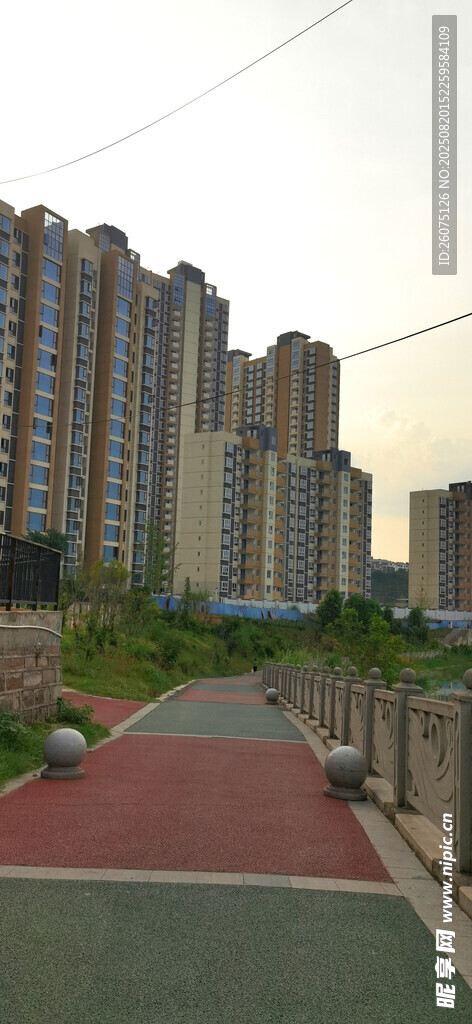 城市中的高楼与彩色步道