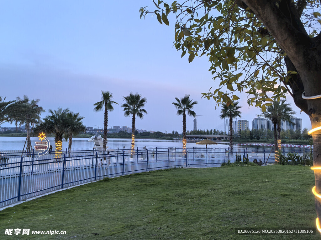 湖畔草坪与棕榈树休闲场景