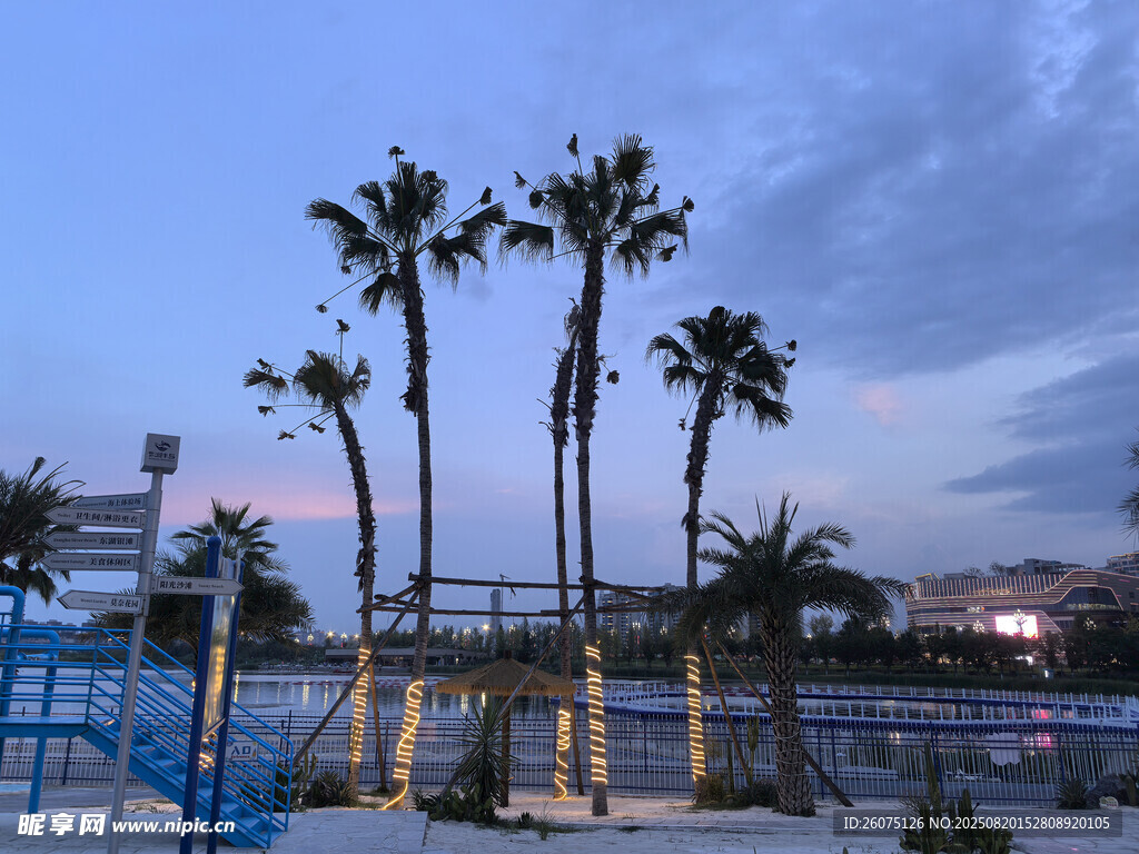 黄昏下的海滨棕榈树休闲场景