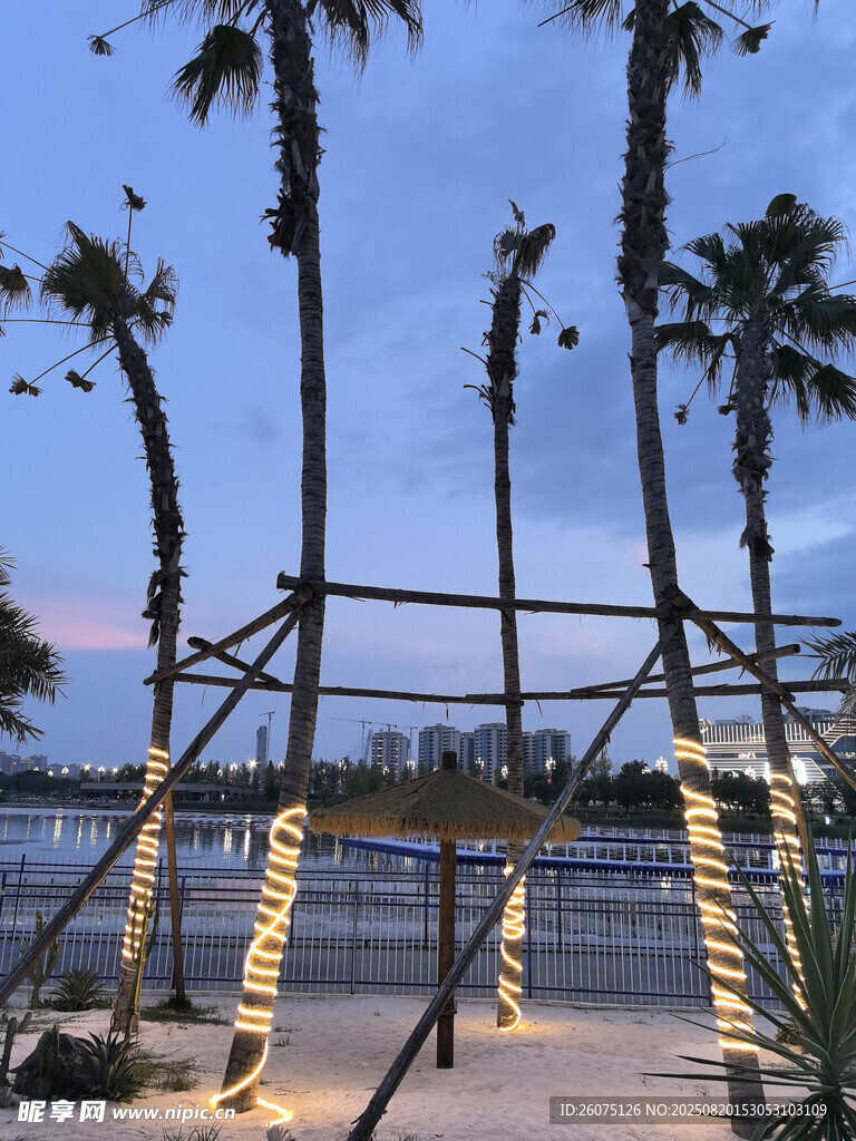 夕阳下的棕榈树与游乐设施