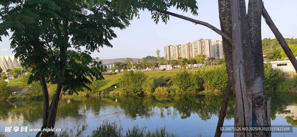 湖畔绿树环绕的宁静景致