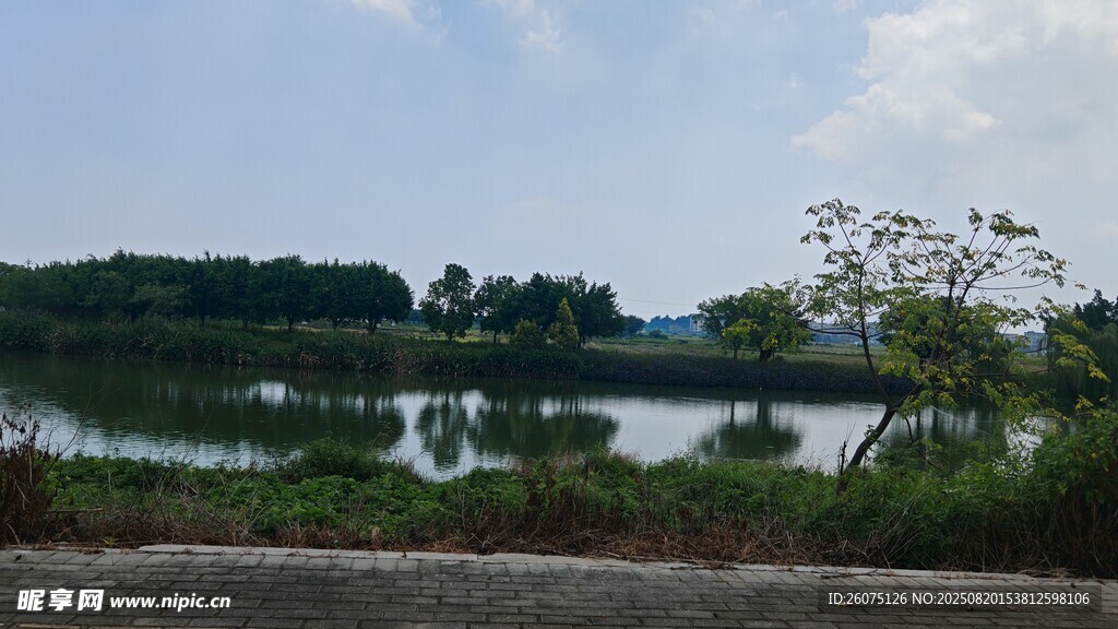 宁静湖畔自然风光