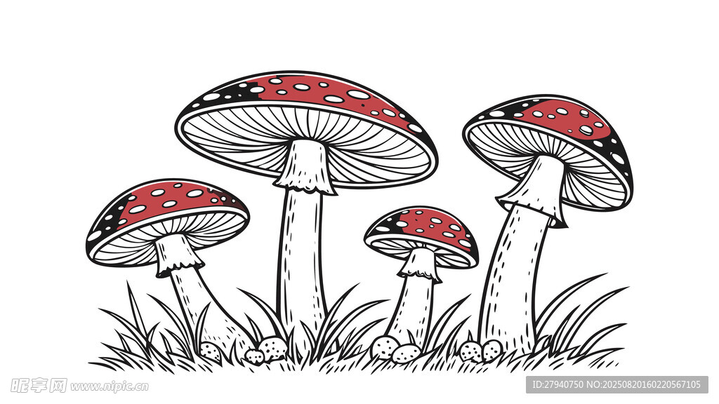 手绘蘑菇插画