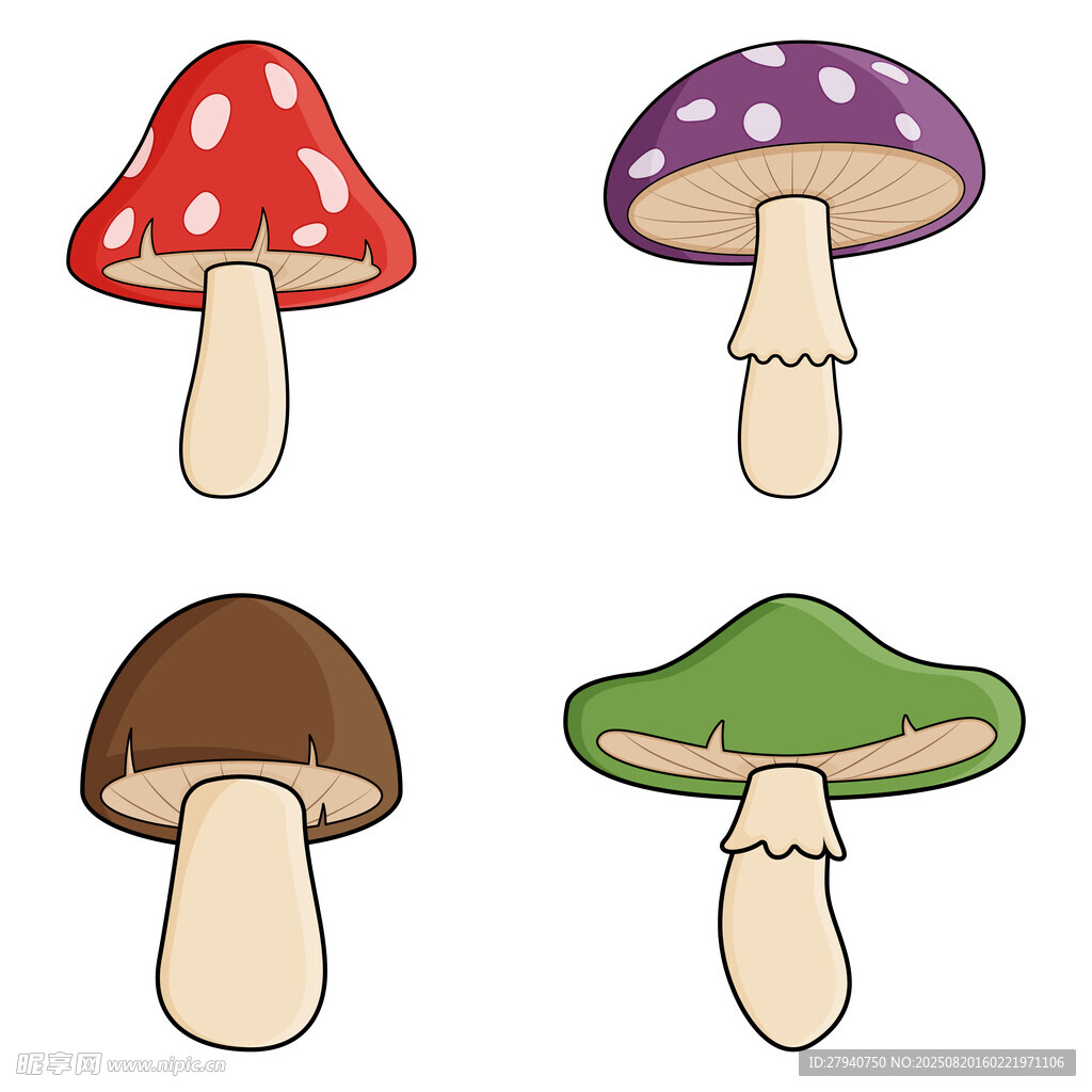 卡通蘑菇插画