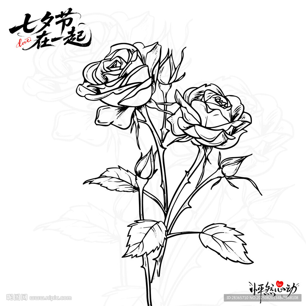 矢量玫瑰花