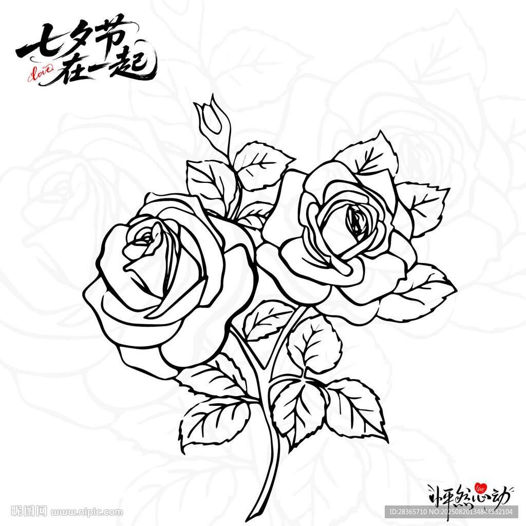 玫瑰花