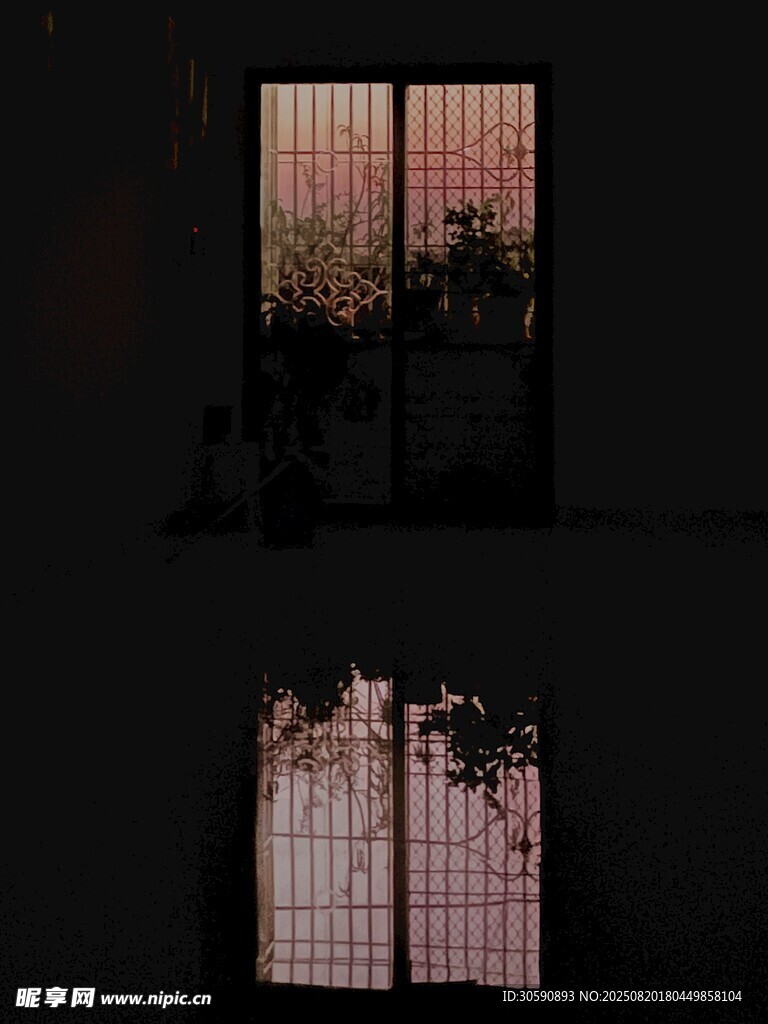 夜幕下的窗棂与绿植
