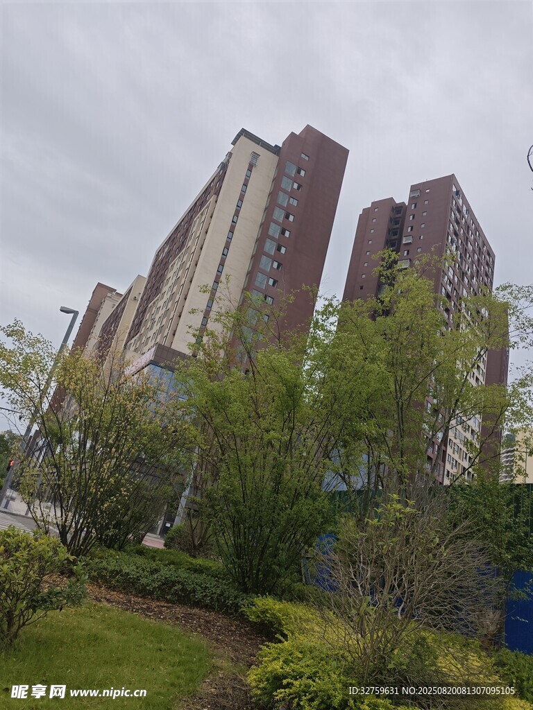 城市高楼旁的绿植景观